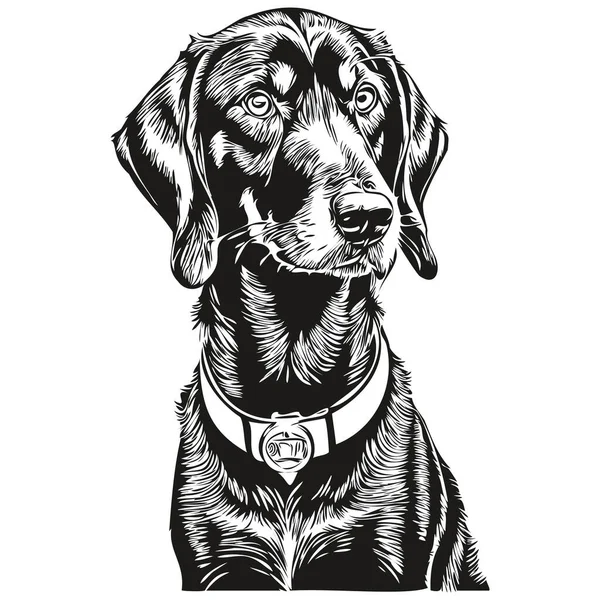 Черный Тан Coonhound Собака Силуэт Питомца Персонаж Клип Арт Вектор — стоковый вектор