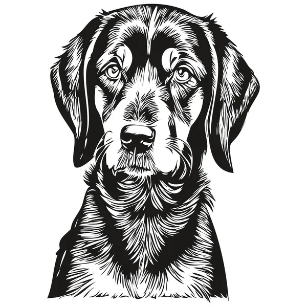 Black Tan Coonhound Hund Silhouette Haustier Charakter Clip Art Vektor — Stockvektor