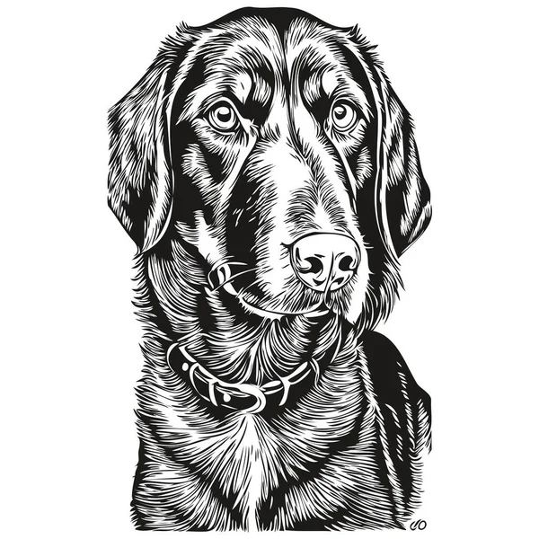 Black Tan Coonhound Cão Silhueta Pet Personagem Clip Arte Vetor —  Vetores de Stock