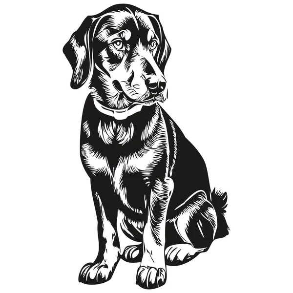 Μαύρο Και Tan Coonhound Σκυλί Πουκάμισο Εκτύπωσης Μαύρο Και Άσπρο — Διανυσματικό Αρχείο