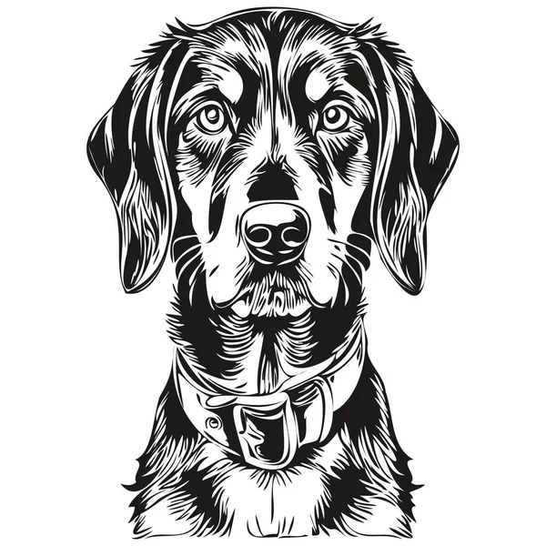 Black Tan Coonhound Dog Vector Face Drawing Portrait Sketch Vintage — Stock Vector