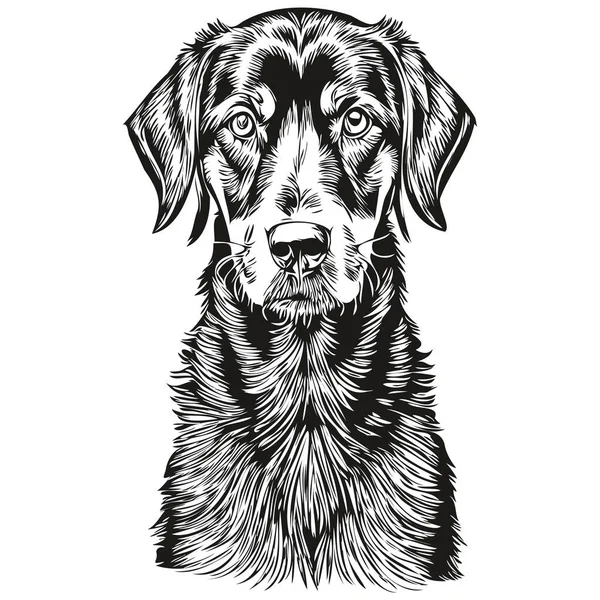 黒とタンコンハウンド犬Tシャツ印刷黒と白 かわいい面白いアウトライン図面ベクトルスケッチ図面 — ストックベクタ