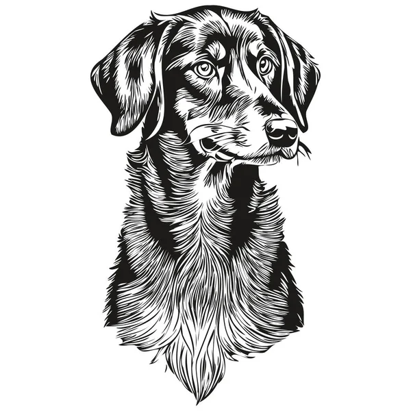 Siyah Tan Coonhound Köpek Vektör Yüzü Portre Çizme Eskiz Klasik — Stok Vektör