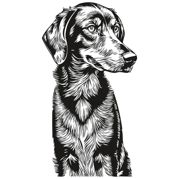 黒とタンコンハウンド犬ベクトルグラフィック 手描き鉛筆動物ラインイラスト現実的な品種ペット — ストックベクタ