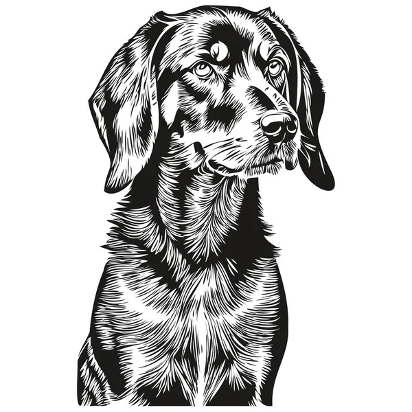 Black Tan Coonhound Dog Vector Graphics Hand Draw Pencil Animal — 스톡 벡터