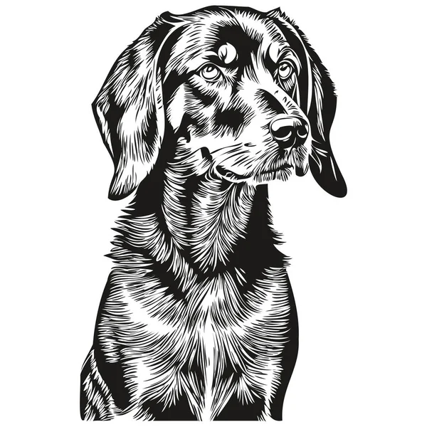 Black Tan Coonhound Dog Vector Graphics Hand Drawn Pencil Animal — Stock Vector