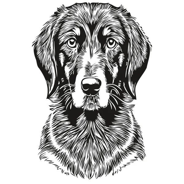 Svart Och Tan Coonhound Hund Vektor Grafik Handritad Penna Djur — Stock vektor