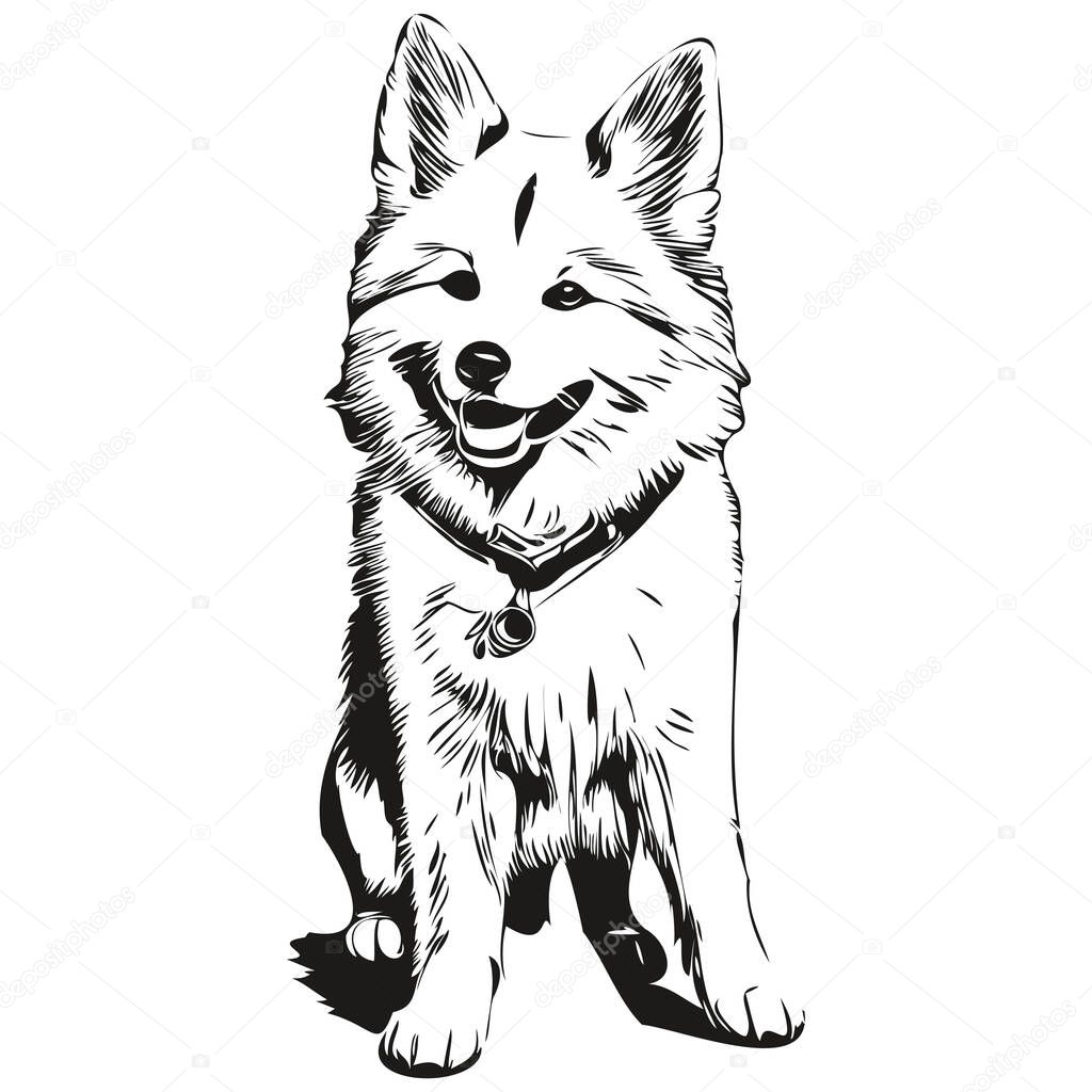 American Eskimo dog breed line drawing, clip art animal hand drawing vector black and white