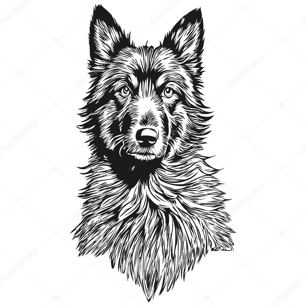 Belçika Çoban Köpeği Gerçekçi Çizim Vektör Çizgi Çizimi Köpek Yüzü Stok  Vektörü © svetomircomua 665769302