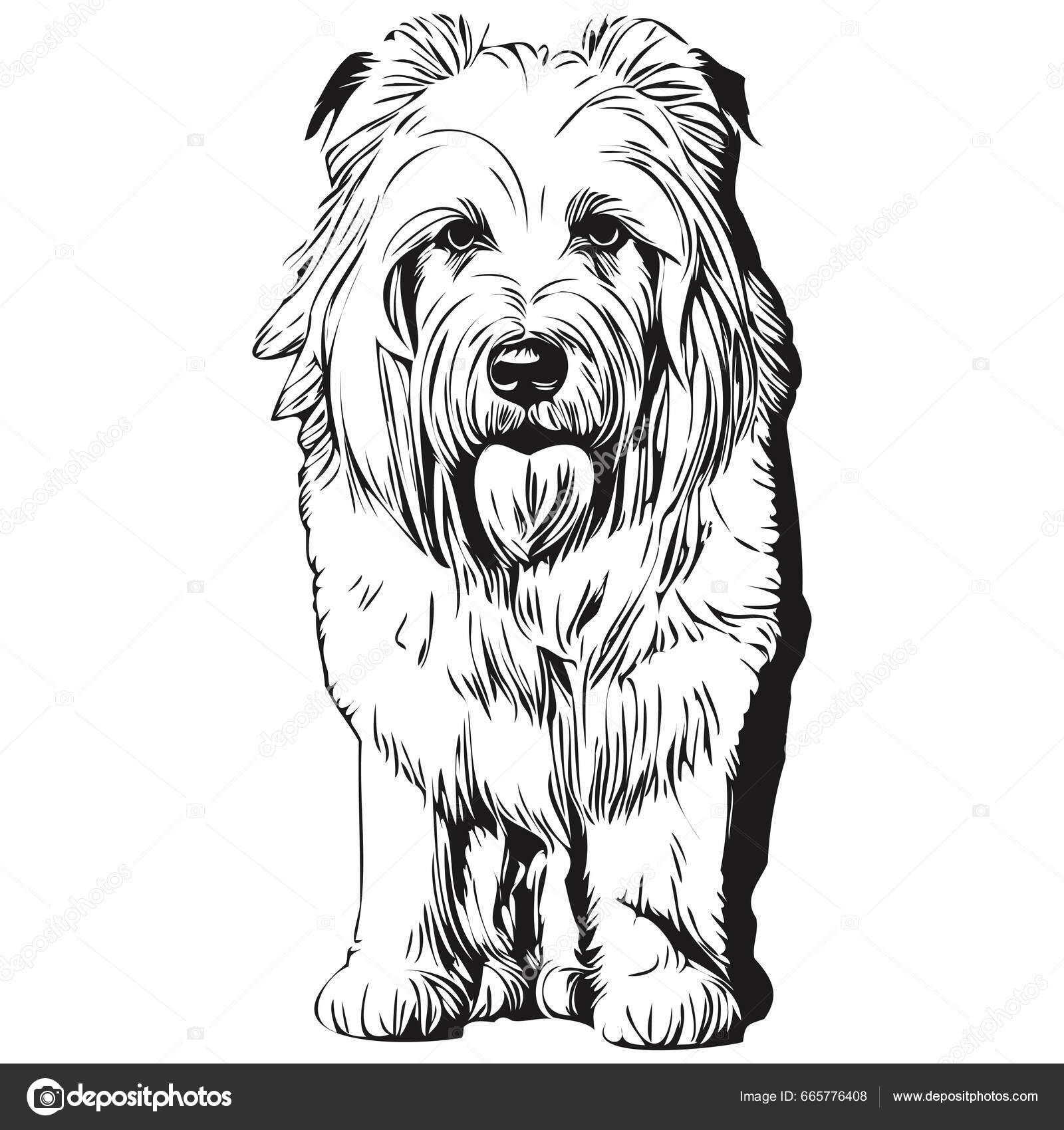 Filhote de cão pastor inglês velho ilustração digital estilizada