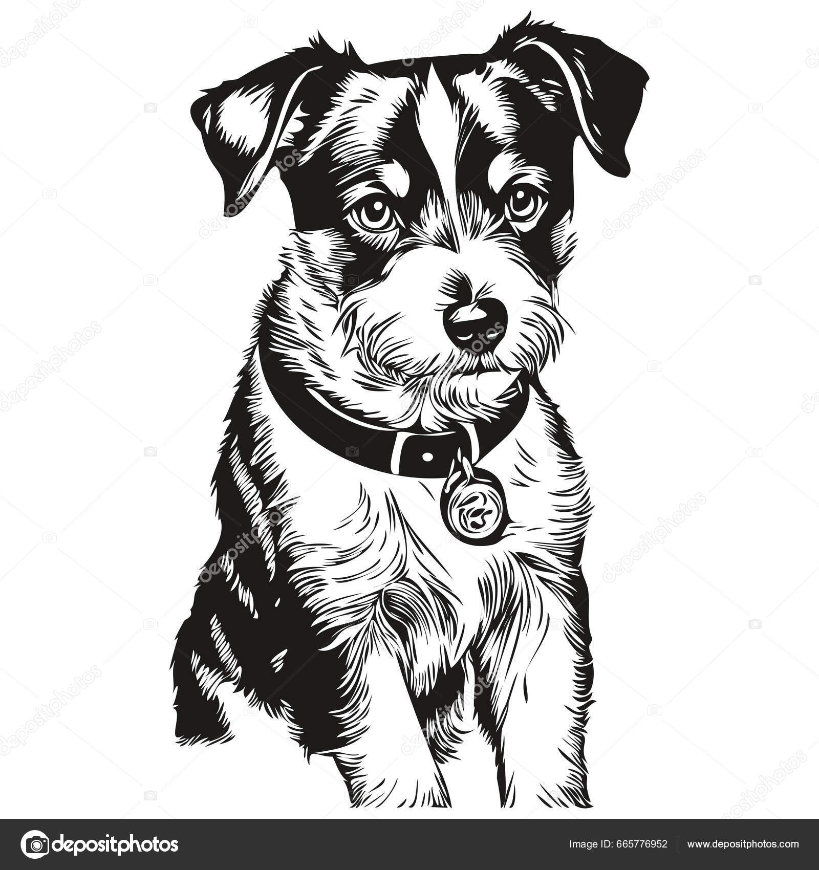 Parson Russell Terrier Dog Outline Pencil Drawing Artwork Black