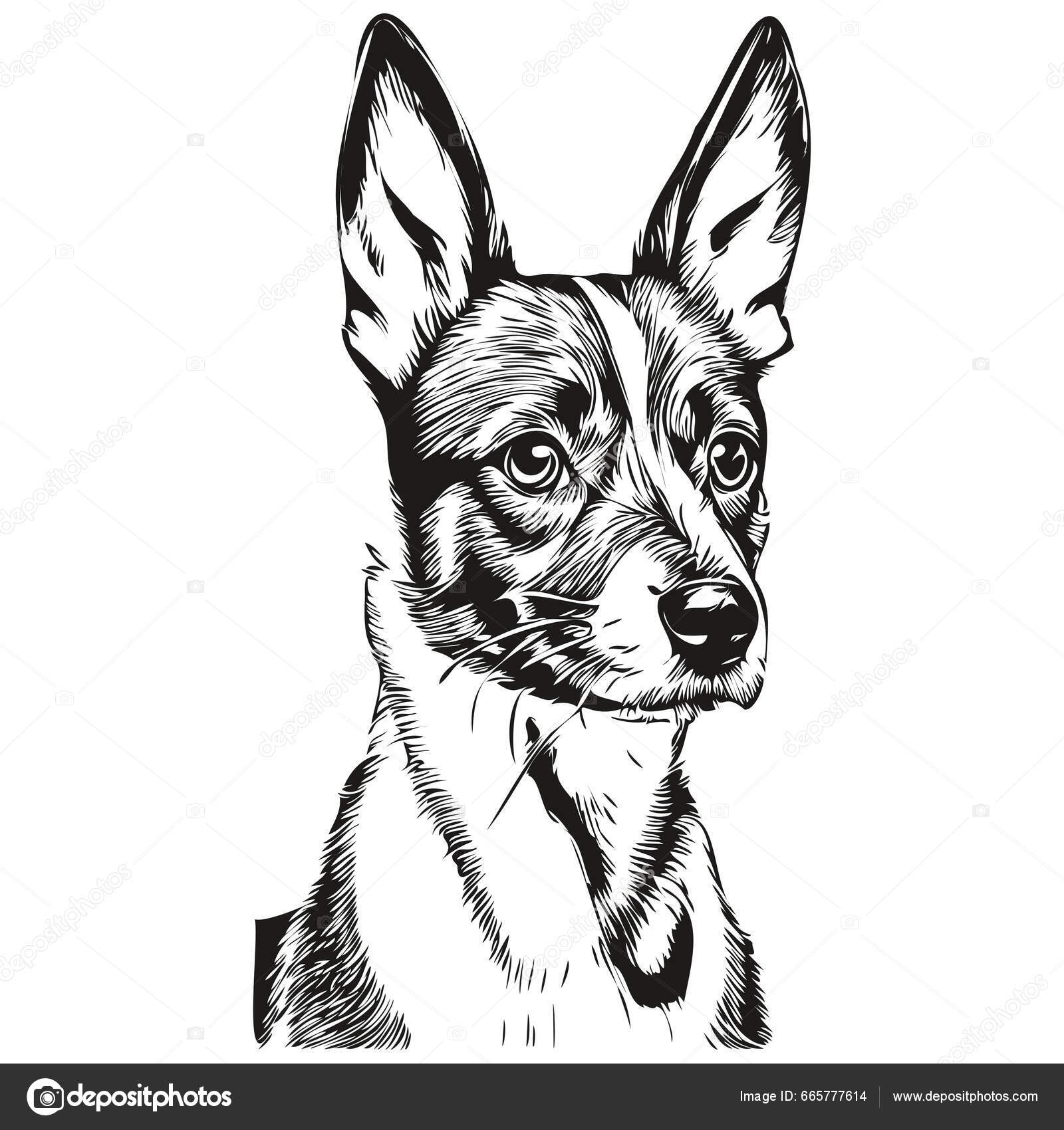 Rotteterrier Dog Tegneserie Ansiktsblekkportrett Svart Hvitt Skissetegning  Tshirt Print – stockvektor ©svetomircomua 665777614