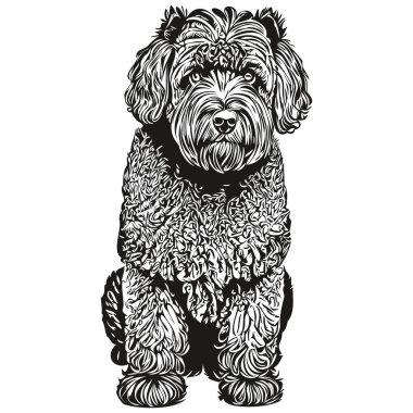 Siyah Rus teriyer köpek siyah çizim vektörü, izole yüz boyama çizim çizimi illüstrasyonu