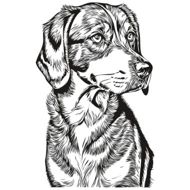 Bluetick Coonhound dog silhouette pet character, clip art vector pets drawing black and white realistic breed pet clipart