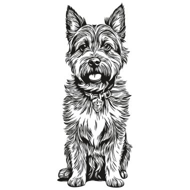 Sınır Köpeği logo vektörü siyah beyaz, klasik köpek kafası oymalı gerçekçi bir evcil hayvan.