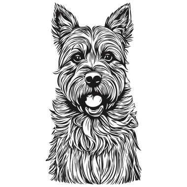 Sınır köpeği kalem el çizim vektörü, taslak çizim hayvan yüz logosu siyah ve beyaz gerçekçi evcil hayvan