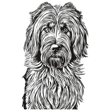 Briard dog siyah çizim vektörü, izole yüz boyama çizim çizgisi çizim çizimi gerçekçi hayvan türü.