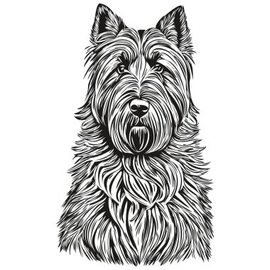 Briard dog siyah çizim vektörü, izole yüz boyama çizim çizimi illüstrasyonu