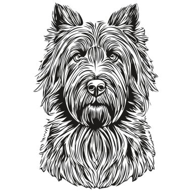Briard köpek çizgisi çizimi, siyah-beyaz mürekkep çizimi vektör gerçekçi evcil hayvan türünde yüz portresi