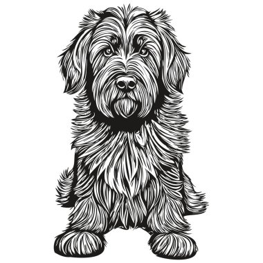 Briard köpek vektör grafikleri, elle çizilmiş kalem hayvan çizgisi çizimi çizimi