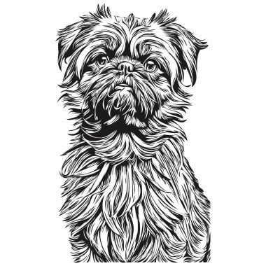 Brüksel Griffon köpek siyah çizim vektörü, izole edilmiş yüz boyama çizimi çizim çizelgesi gerçekçi hayvan türü.