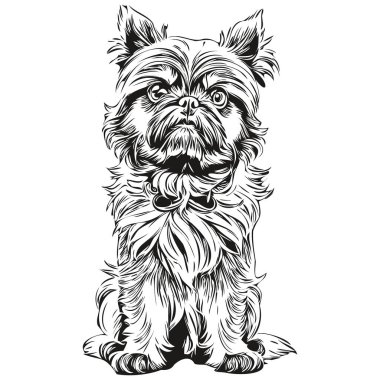 Brüksel Griffon köpek çiftliği çizimi, hayvan eli klipsleme, siyah-beyaz çizim vektörü