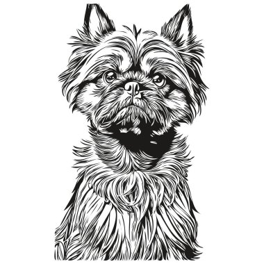 Brüksel Griffon köpek eli siyah beyaz çizgili resim çizimi çizdi