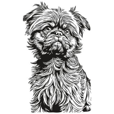 Brüksel Griffon köpek mürekkebi çizimi, klasik dövme veya tişört baskısı siyah-beyaz vektör çizimi