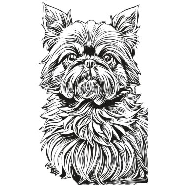 Brüksel Griffon 'un vektör köpek portresi, dövme için hayvan eli çizimi veya tişört baskısı çizimi