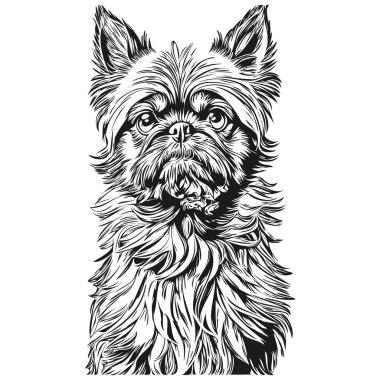 Brüksel Griffon köpek vektör grafikleri, el çizimi kalem hayvan çizgisi illüstrasyonu
