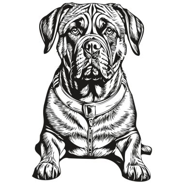 Bullmastiff köpek logo vektörü siyah beyaz, klasik köpek kafası oymalı gerçekçi bir evcil hayvan.