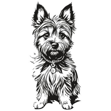 Cairn Terrier köpek cinsi çizimi, klipsli hayvan eli siyah beyaz çizim vektörü