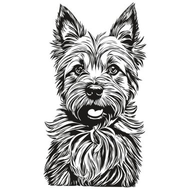 Cairn Terrier köpek cinsi çizimi, klipsli hayvan eli siyah beyaz vektör çizimi