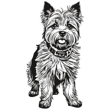 Cairn Terrier köpek oymalı vektör portresi, siyah beyaz karikatür vintage çizim