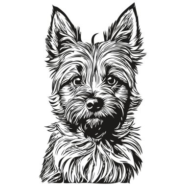 Cairn Terrier köpek eli, siyah beyaz çizgili logo çizmiş. Sanat hayvanları gerçekçi hayvan cinsi.
