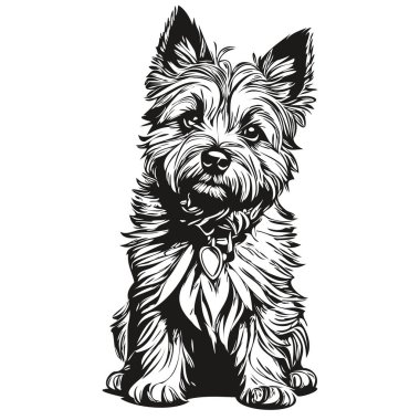 Cairn Terrier köpek oymalı vektör portresi, karikatür vintage siyah beyaz çizim