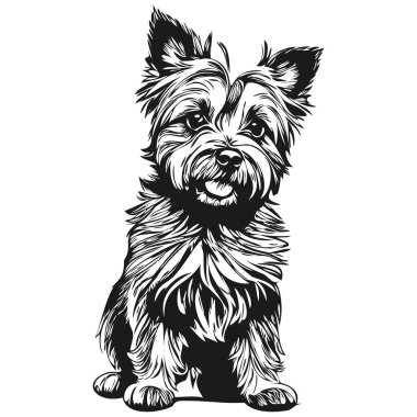 Cairn Terrier köpek eli siyah beyaz çizgi çizen resim çizimi.