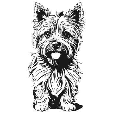 Cairn Terrier köpeği beyaz arkaplanda izole edilmiş bir resim, baş hayvan çizgisi illüstrasyonu