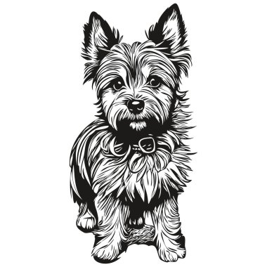 Cairn Terrier köpek çizgisi çizimi, vektör içinde siyah ve beyaz mürekkep çizimi