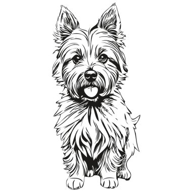 Cairn Terrier köpek logo vektörü siyah-beyaz, klasik sevimli köpek kafası oymalı gerçekçi bir evcil hayvan