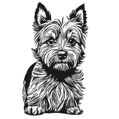 Cairn Terrier köpek logo vektörü siyah beyaz, klasik sevimli köpek kafası oymalı gerçekçi hayvan silueti