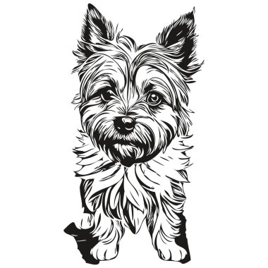 Cairn Terrier köpek el kalem el çizim vektörü, taslak çizim evcil hayvan yüz logosu siyah ve beyaz gerçekçi hayvan silueti