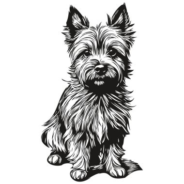 Cairn Terrier köpek kalem el çizim vektörü, taslak çizim hayvan yüz logosu siyah ve beyaz çizim