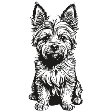 Cairn Terrier köpek hayvan silueti, hayvan çizgisi çizim eli siyah-beyaz vektör çizimi