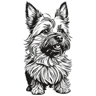 Cairn Terrier köpek tişörtü siyah-beyaz, sevimli komik çizim vektörü gerçekçi hayvan silueti