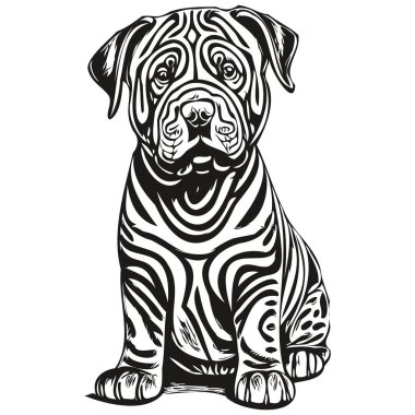 Çin Shar Pei köpek çizim vektörü, izole yüz boyama çizim çizimi illüstrasyonu