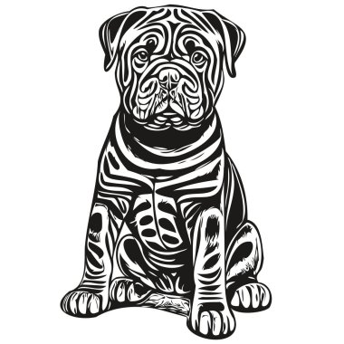 Çin Shar Pei köpek mürekkep çizimi, klasik dövme ya da tişört baskısı siyah beyaz vektör gerçekçi evcil hayvan.