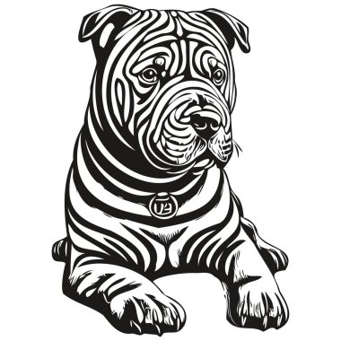 Çin Shar Pei köpeğinin gerçekçi çizimi vektör çizimi, çizgi çizimi köpek yüzü siyah ve beyaz
