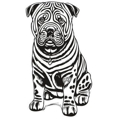 Çin Shar Pei köpek çizimi vektör, çizgi çizimi köpek yüzü siyah beyaz çizim