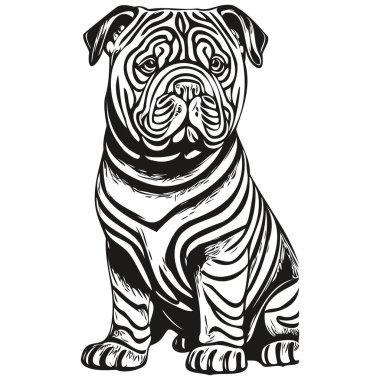 Çin Shar Pei köpek gerçekçi hayvan çizimi, el çizimi siyah beyaz vektör gerçekçi hayvan silueti